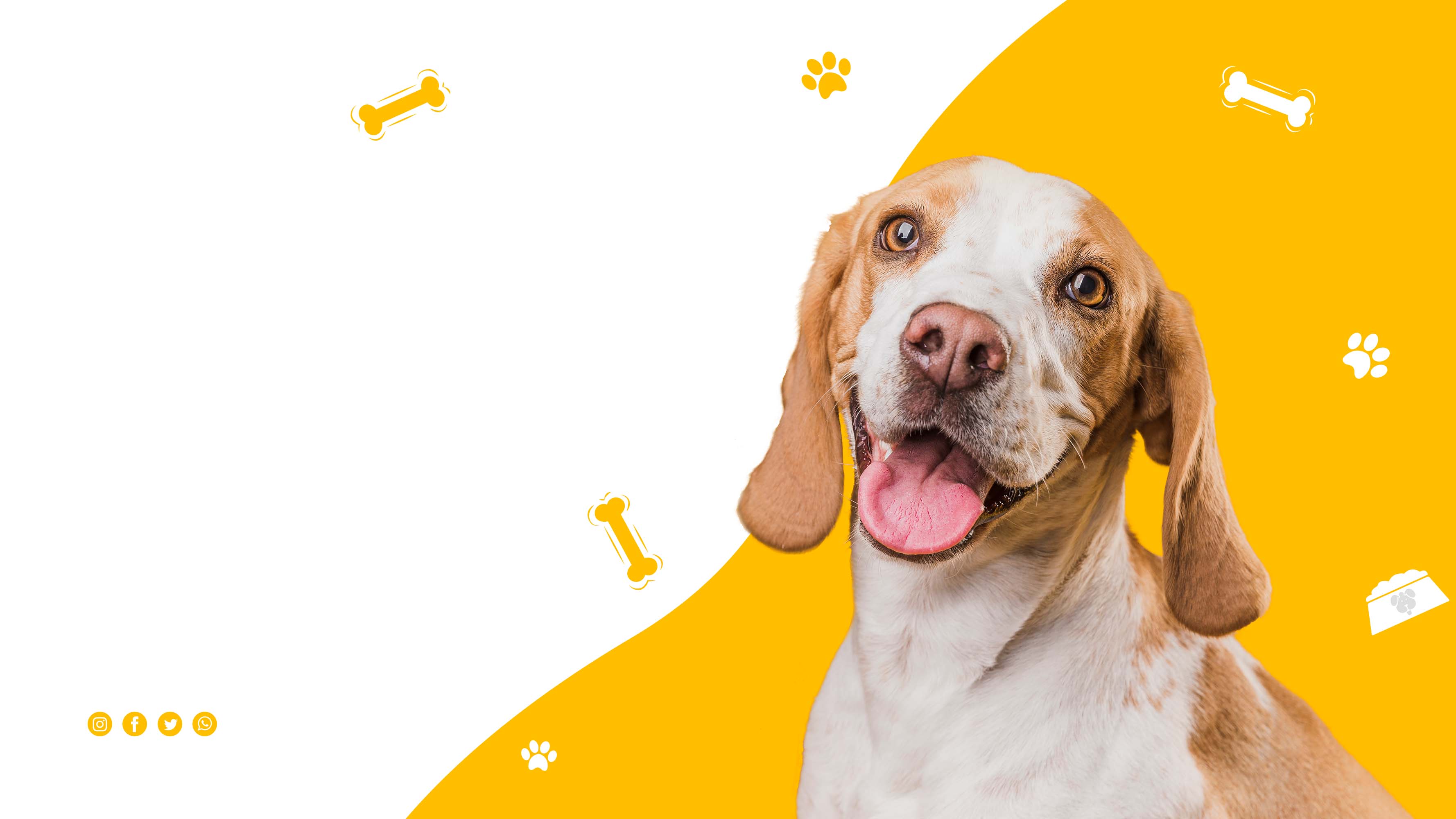 Labrador Retriever biometric scan